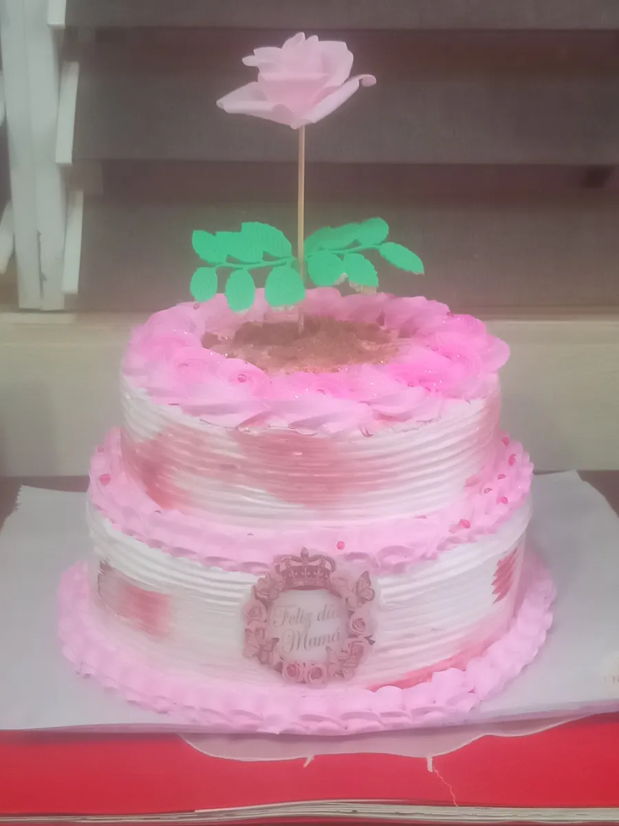 Trabajo realizado — Miss Cake